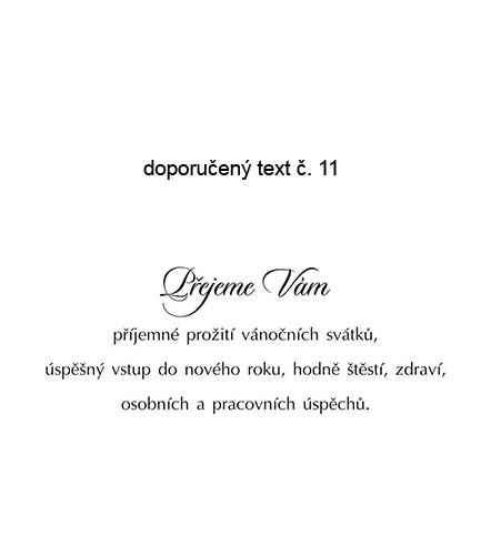 text 11