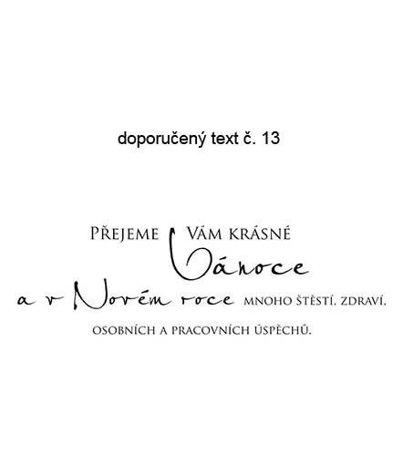 text 13