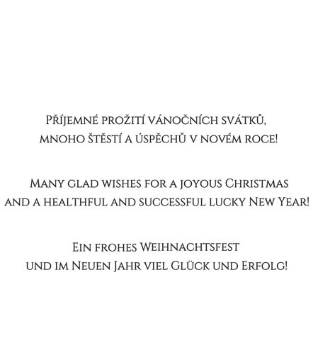 text 162