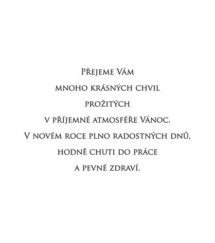 Vánoční text 349